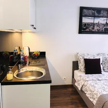 - Ruska Centrum Apartment Wroclaw